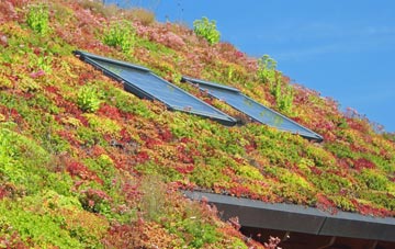 Whalley Banks living roof systems