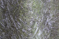 Whalley Banks fibreglass roof work